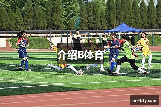 介绍B体育